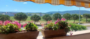 Sunny Capris Apartment
